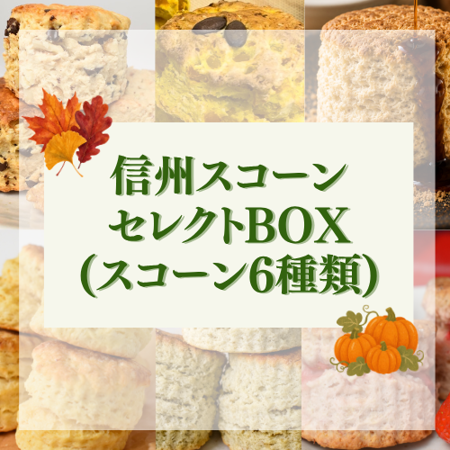信州スコーンセレクトBOX（スコーン6種類）