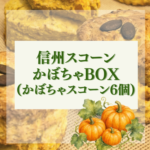 信州スコーン かぼちゃBOX（かぼちゃスコーン6個)